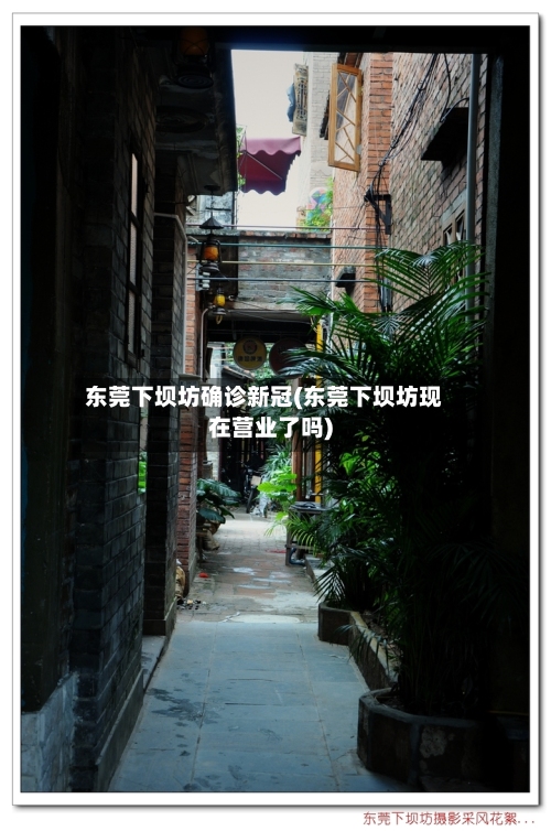 东莞下坝坊确诊新冠(东莞下坝坊现在营业了吗)-第2张图片