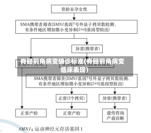 脊髓前角病变确诊标准(脊髓前角病变临床表现)-第3张图片