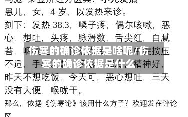 伤寒的确诊依据是啥呢/伤寒的确诊依据是什么