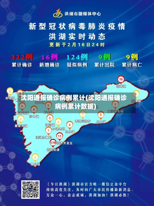 沈阳通报确诊病例累计(沈阳通报确诊病例累计数据)