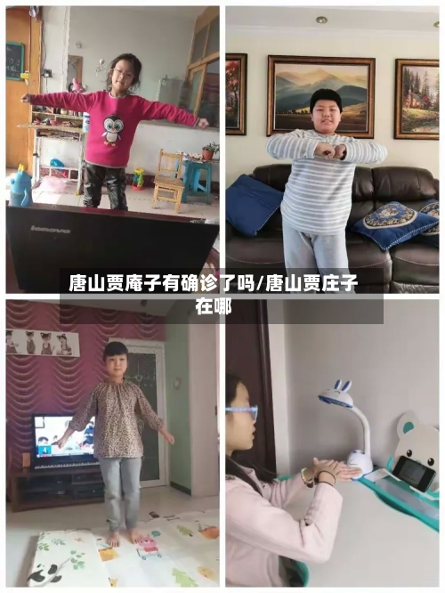 唐山贾庵子有确诊了吗/唐山贾庄子在哪-第3张图片