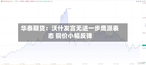 华泰期货:沃什发言无进一步鹰派表态 铜价小幅反弹-第3张图片
