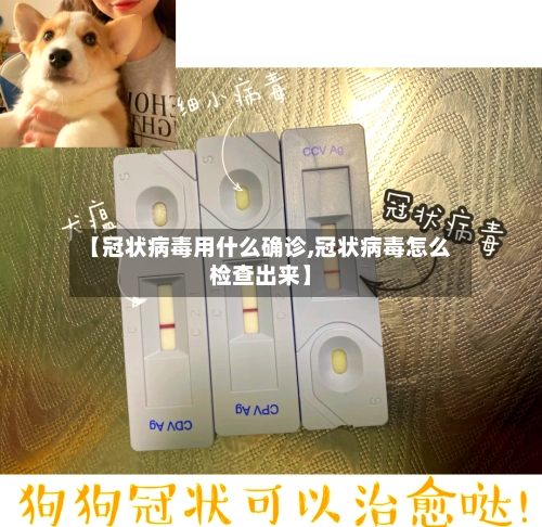 【冠状病毒用什么确诊,冠状病毒怎么检查出来】