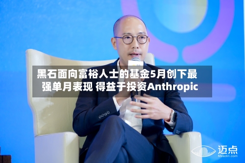 黑石面向富裕人士的基金5月创下最强单月表现 得益于投资Anthropic-第3张图片