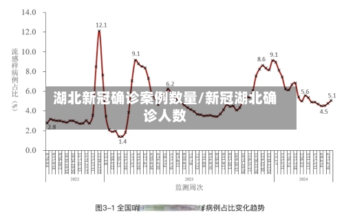 湖北新冠确诊案例数量/新冠湖北确诊人数-第2张图片