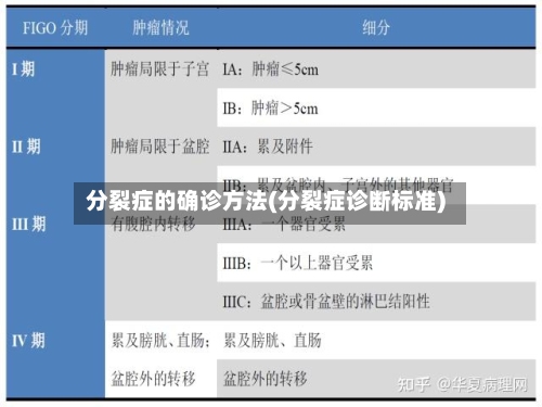 分裂症的确诊方法(分裂症诊断标准)-第2张图片
