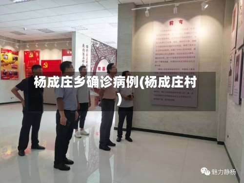 杨成庄乡确诊病例(杨成庄村)-第2张图片