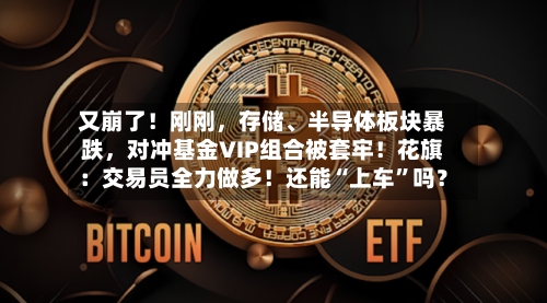 又崩了！刚刚，存储、半导体板块暴跌，对冲基金VIP组合被套牢！花旗：交易员全力做多！还能“上车”吗？-第1张图片