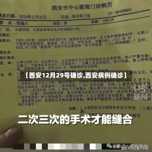 【西安12月29号确诊,西安病例确诊】-第2张图片