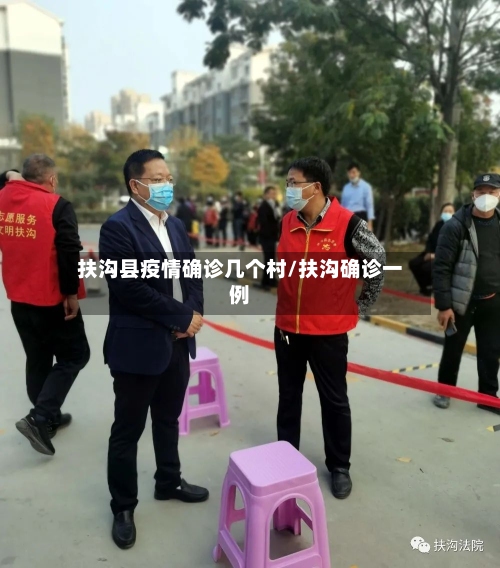 扶沟县疫情确诊几个村/扶沟确诊一例