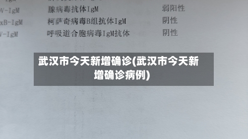 武汉市今天新增确诊(武汉市今天新增确诊病例)