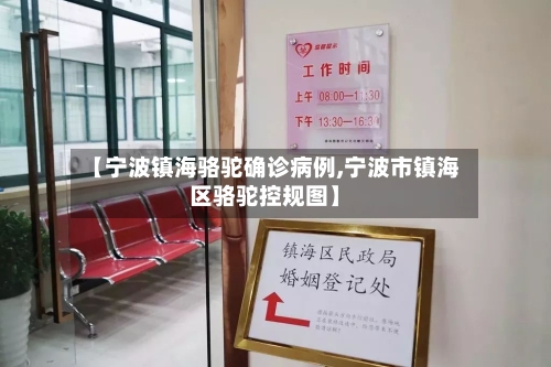 【宁波镇海骆驼确诊病例,宁波市镇海区骆驼控规图】-第3张图片