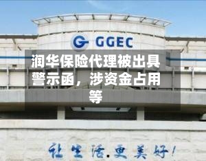 润华保险代理被出具警示函，涉资金占用等-第3张图片