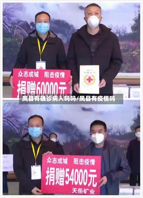 凤县有确诊病人吗吗/凤县有疫情吗