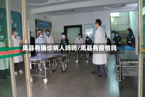 凤县有确诊病人吗吗/凤县有疫情吗-第3张图片