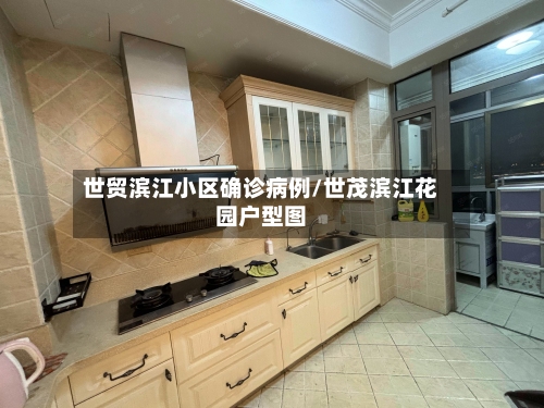 世贸滨江小区确诊病例/世茂滨江花园户型图
