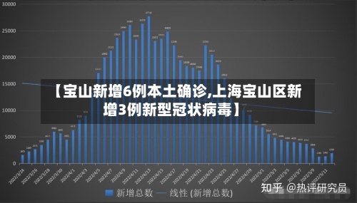 【宝山新增6例本土确诊,上海宝山区新增3例新型冠状病毒】-第3张图片