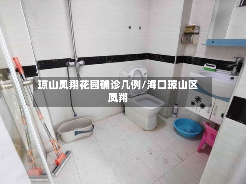 琼山凤翔花园确诊几例/海口琼山区凤翔-第2张图片