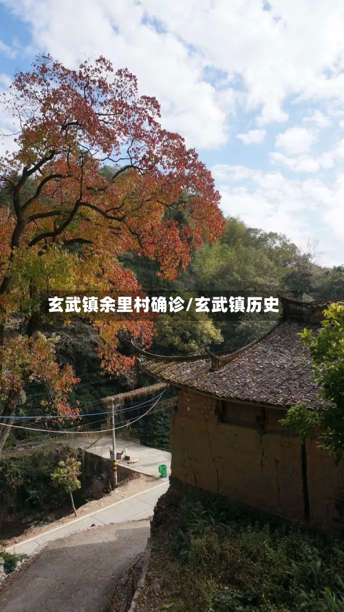 玄武镇余里村确诊/玄武镇历史