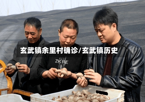 玄武镇余里村确诊/玄武镇历史-第2张图片