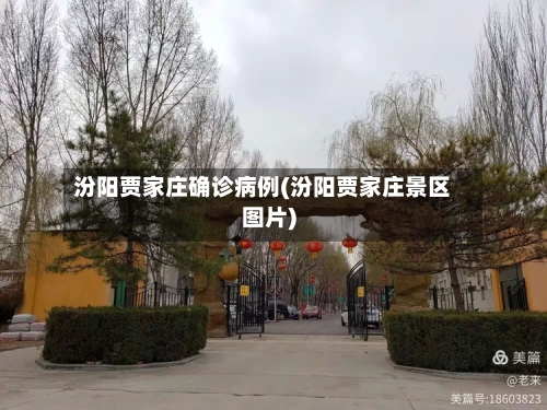 汾阳贾家庄确诊病例(汾阳贾家庄景区图片)-第3张图片