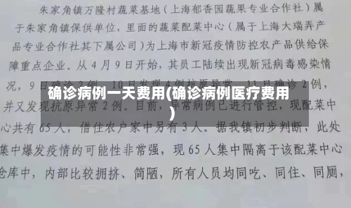 确诊病例一天费用(确诊病例医疗费用)