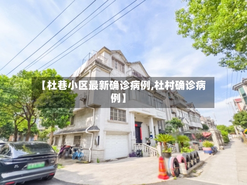 【杜巷小区最新确诊病例,杜村确诊病例】-第3张图片