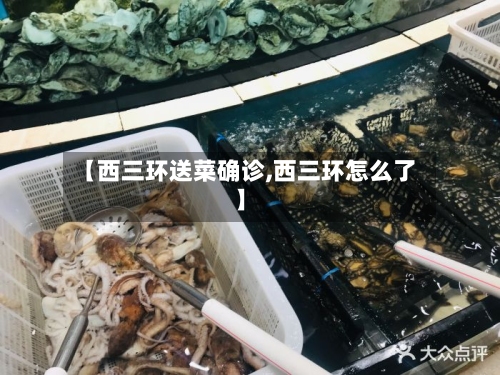 【西三环送菜确诊,西三环怎么了】-第2张图片