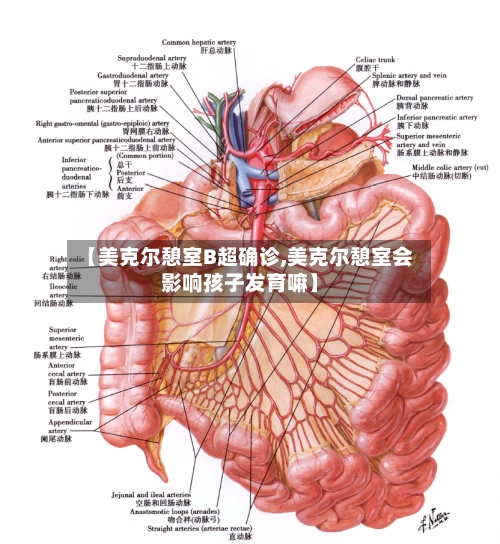【美克尔憩室B超确诊,美克尔憩室会影响孩子发育嘛】-第2张图片