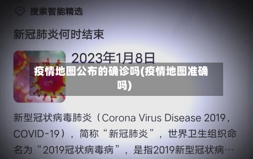 疫情地图公布的确诊吗(疫情地图准确吗)-第2张图片