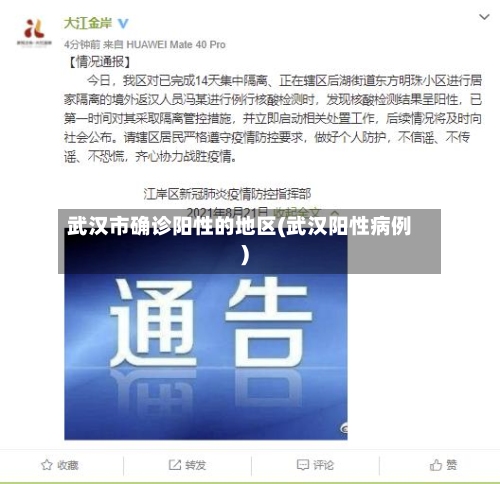 武汉市确诊阳性的地区(武汉阳性病例)
