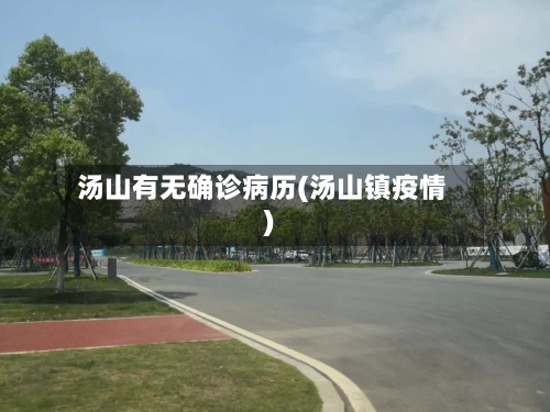 汤山有无确诊病历(汤山镇疫情)