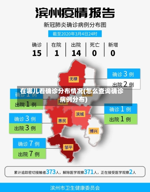在哪儿看确诊分布情况(怎么查询确诊病例分布)-第3张图片