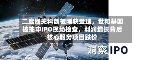 二度闯关科创板刚获受理，世和基因被抽中IPO现场检查，利润增长背后核心服务项目跌价-第2张图片