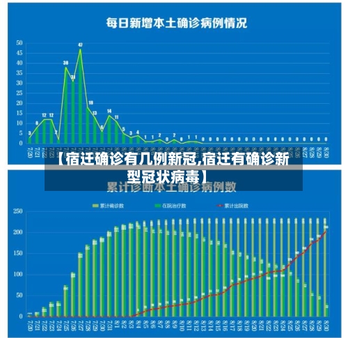 【宿迁确诊有几例新冠,宿迁有确诊新型冠状病毒】-第2张图片