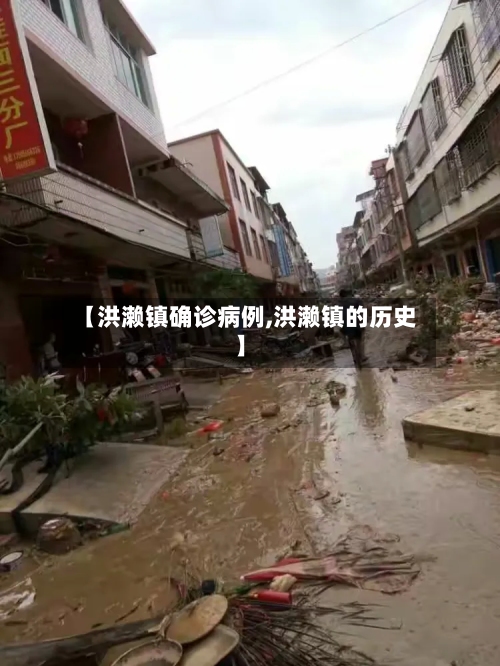 【洪濑镇确诊病例,洪濑镇的历史】