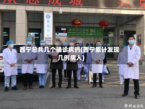 西宁总共几个确诊病例(西宁累计发现几例病人)
