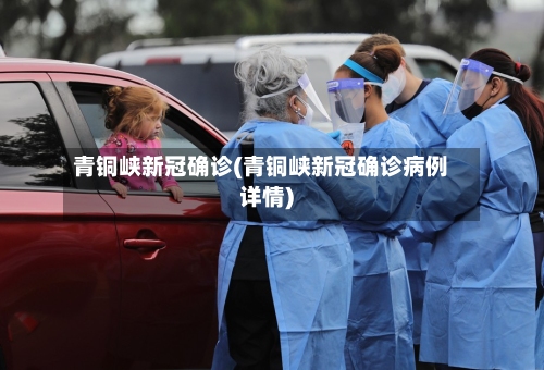 青铜峡新冠确诊(青铜峡新冠确诊病例详情)