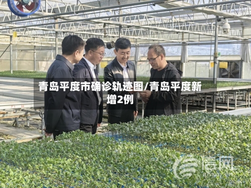 青岛平度市确诊轨迹图/青岛平度新增2例-第3张图片