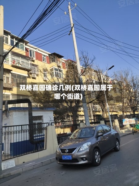 双桥嘉园确诊几例(双桥嘉园属于哪个街道)-第2张图片