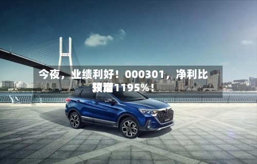 今夜，业绩利好！000301，净利比较高预增1195%！-第2张图片