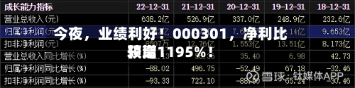 今夜，业绩利好！000301，净利比较高预增1195%！