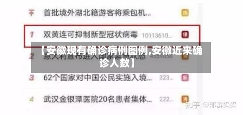 【安徽现有确诊病例图例,安徽近来确诊人数】-第2张图片