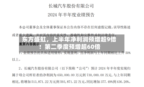 东方盛虹	，上半年净利润预增超9倍！第二季度预增超60倍-第1张图片