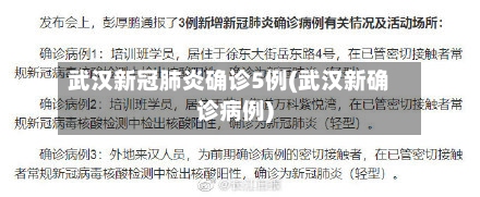 武汉新冠肺炎确诊5例(武汉新确诊病例)-第3张图片