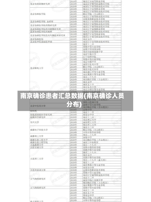 南京确诊患者汇总数据(南京确诊人员分布)-第2张图片