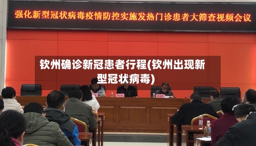 钦州确诊新冠患者行程(钦州出现新型冠状病毒)-第2张图片