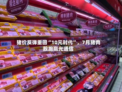 猪价反弹重回“10元时代”	，7月猪肉股跑赢光通信-第2张图片