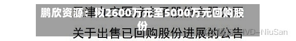 鹏欣资源：拟2600万元至5000万元回购股份-第1张图片