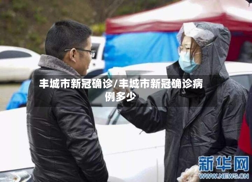 丰城市新冠确诊/丰城市新冠确诊病例多少-第3张图片